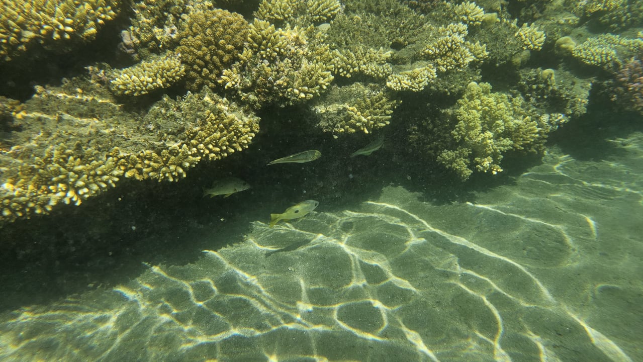 Sport & Freizeit Shams Alam Beach Resort