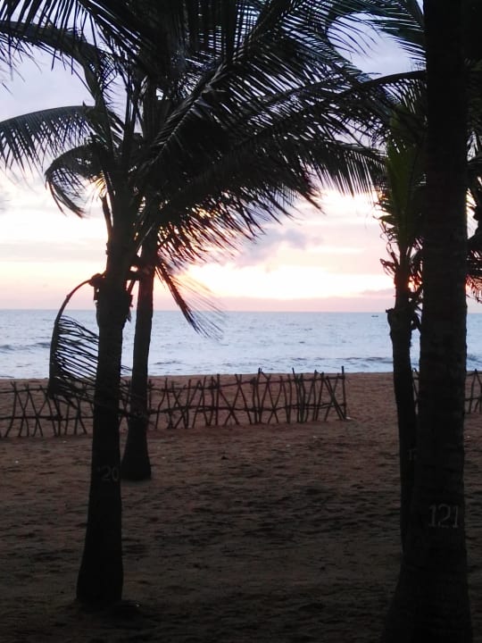 Ausblick Club Hotel Dolphin