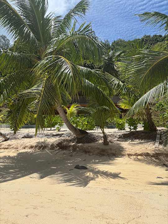 Strand The Coco de Mer Hotel & Black Parrot Suites