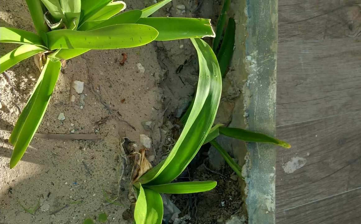 Sonstiges Hotel Riu Palace Punta Cana