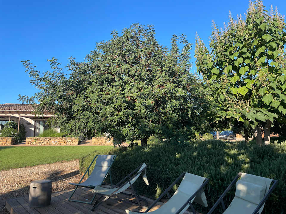 Außenansicht Agroturismo Can Pere Rei