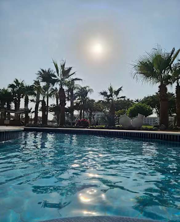 Pool Steigenberger ALDAU Beach Hotel