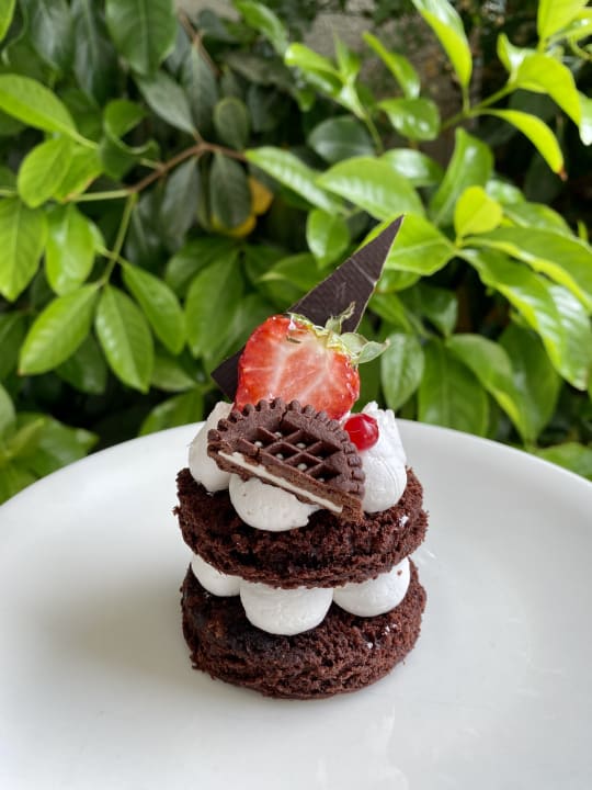 Gastro PALOMA Perissia