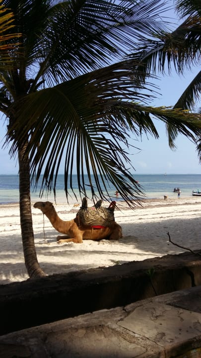 Strand Hotel Traveller's Club