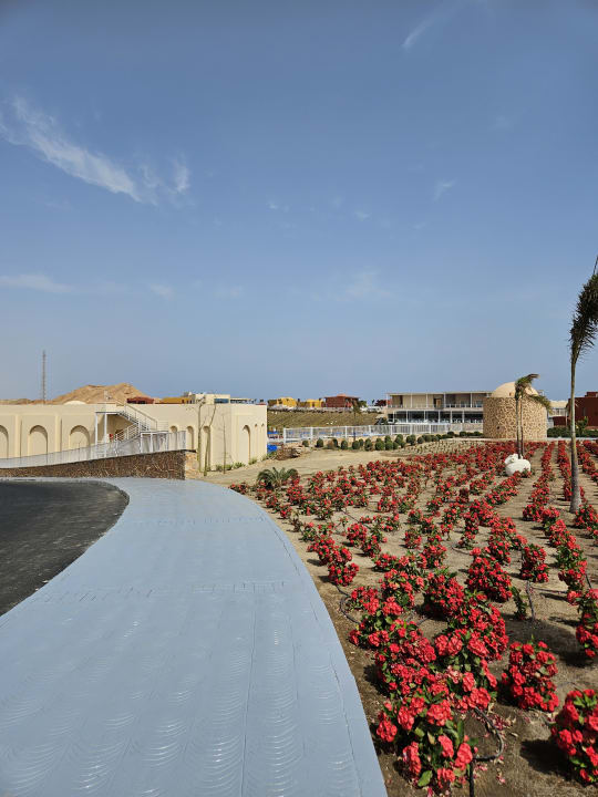 Gartenanlage Pickalbatros Villaggio Resort - Portofino