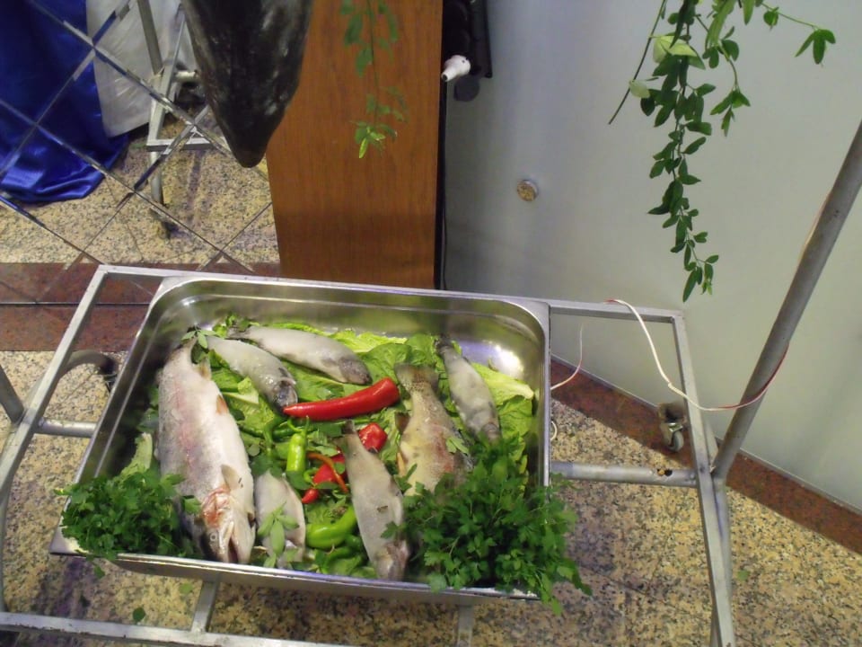 Gastro Seher Kumköy Star Resort & Spa