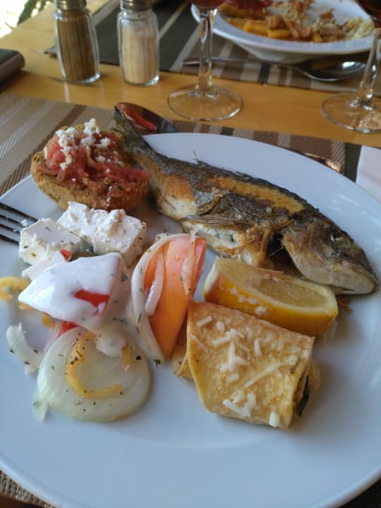 Gastro Cactus Beach