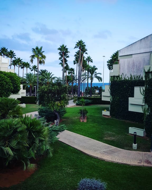 Ausblick Hipotels Mediterraneo Club