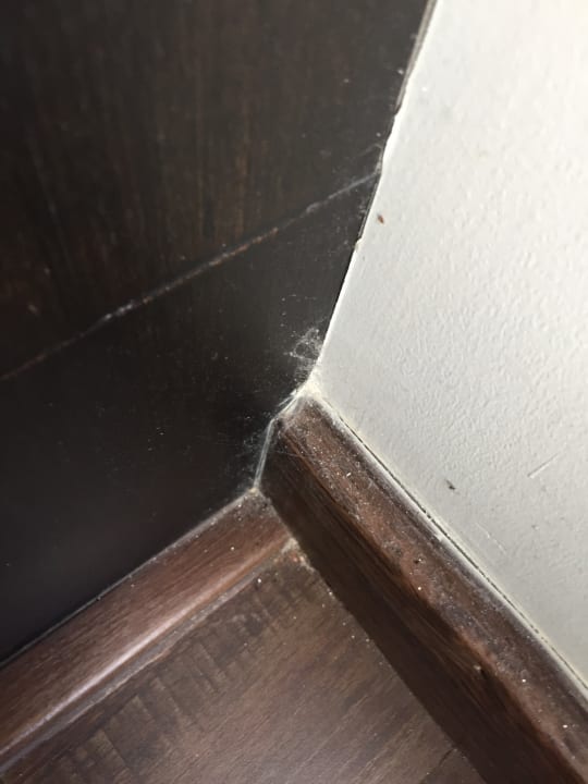 Spinnweben im Zimmer Mövenpick Hotel Sukhumvit 15 Bangkok