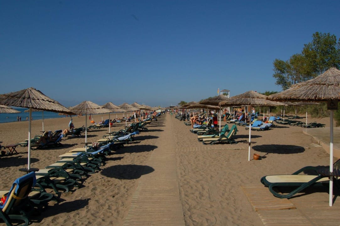 Strandblick durch die Liegenreihen Asteria Family Belek