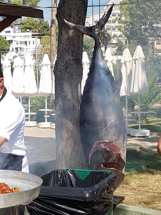 Strand Sidemarin Kirman Premium