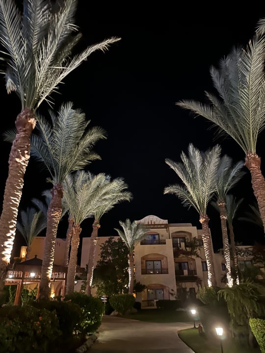 Gartenanlage Steigenberger Coraya Beach - Adults only