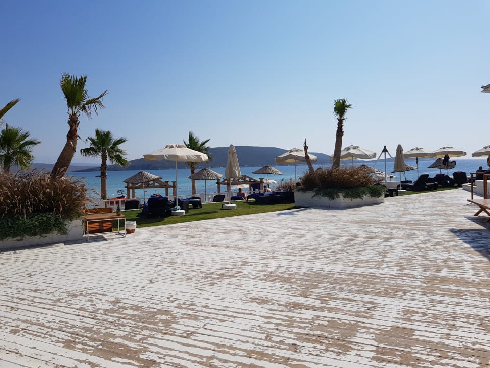 Ausblick Design Plus Seya Beach Hotel