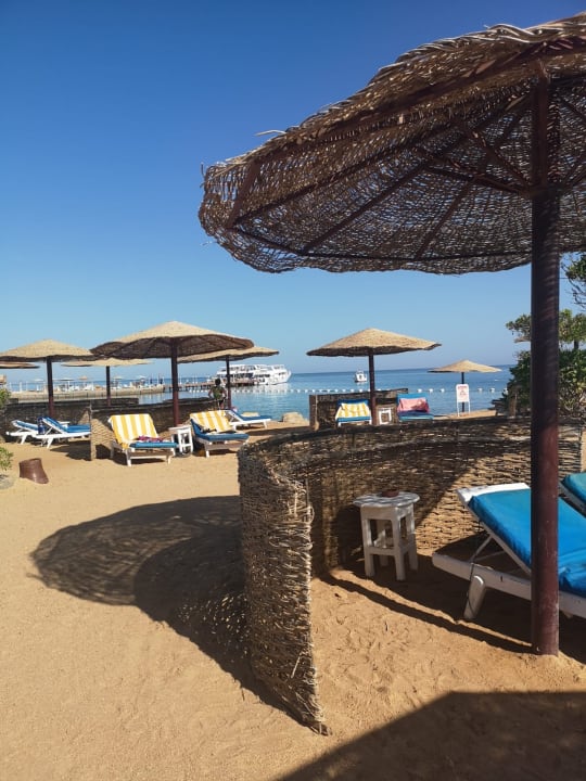 Strand Sea Star Beau Rivage