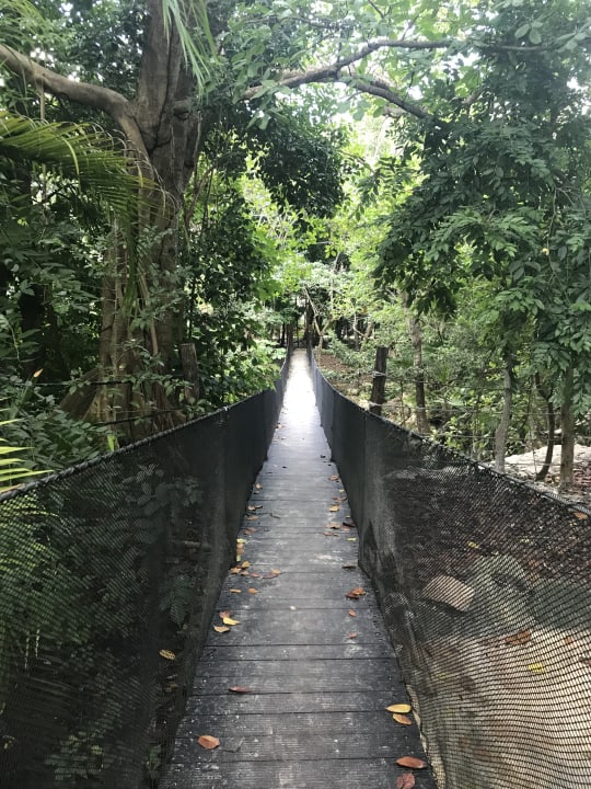Gartenanlage Sandos Caracol Eco Resort
