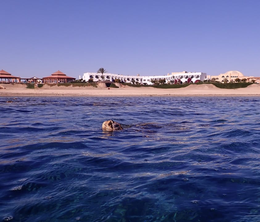 Strand Three Corners Equinox Beach Resort