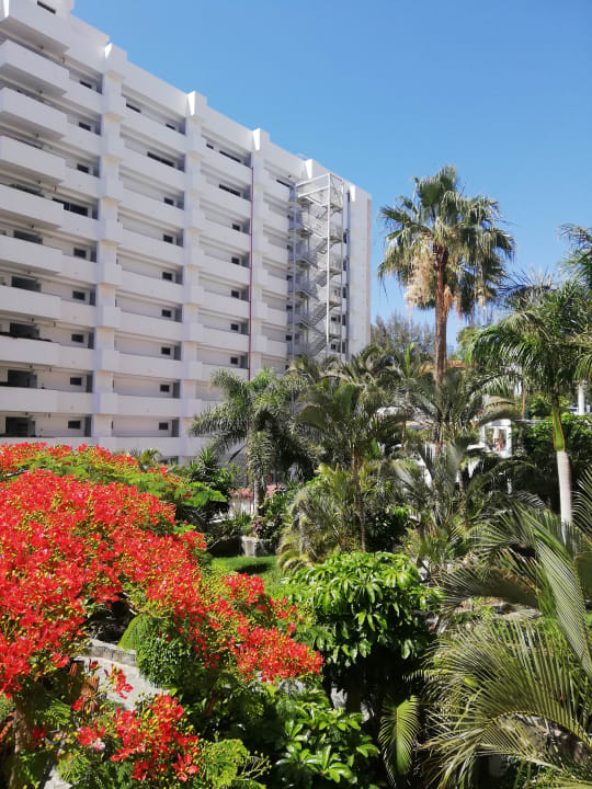 Gartenanlage allsun Hotel Lucana