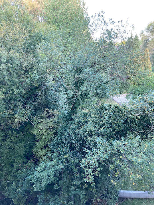 Außenansicht Best Western Plaza Hotel Zwickau