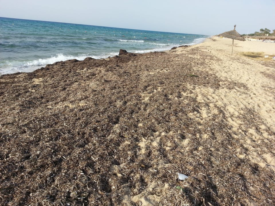 Dreck Hotel El Fell Resort & Spa