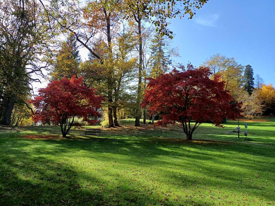 Gartenanlage Wellnesshotel Allmer