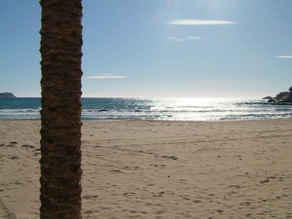Strand von Paguera Hotel Aparthotel Paguera Beach