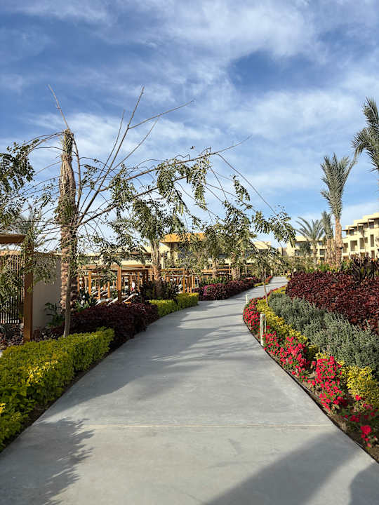 Sonstiges JAZ Elite Riviera