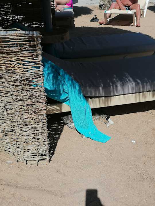 Strand Ali Baba Palace Hotel