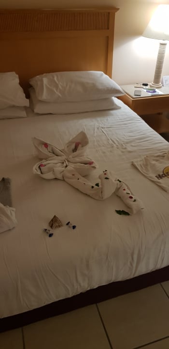 Zimmer Hotel JAZ Makadi Star & Spa