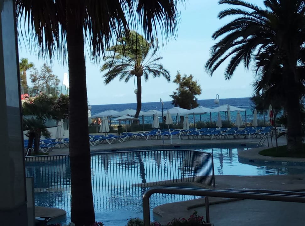 Pool Aparthotel Playa Dorada