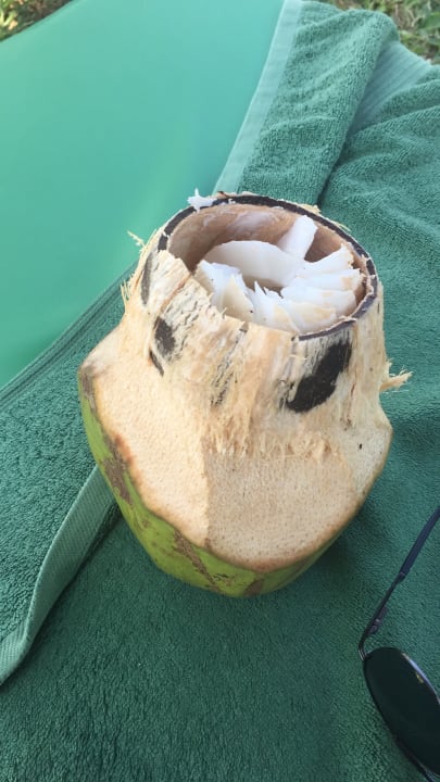 Gartenanlage Neptune Village Beach Resort & Spa