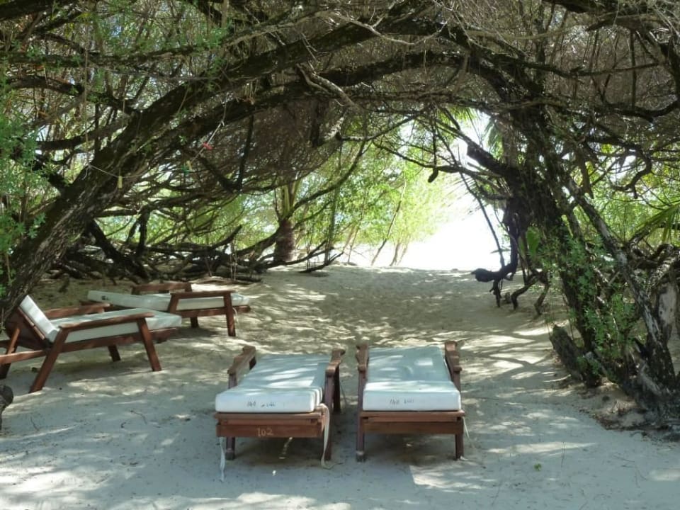 Vor 240 Durchblick zum Strand Eri Maldives