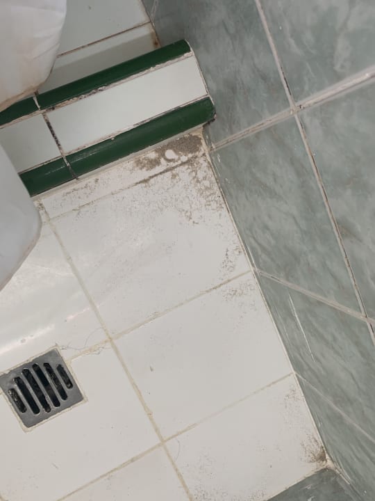 Zimmer Hotel Los Delfines Horizontes