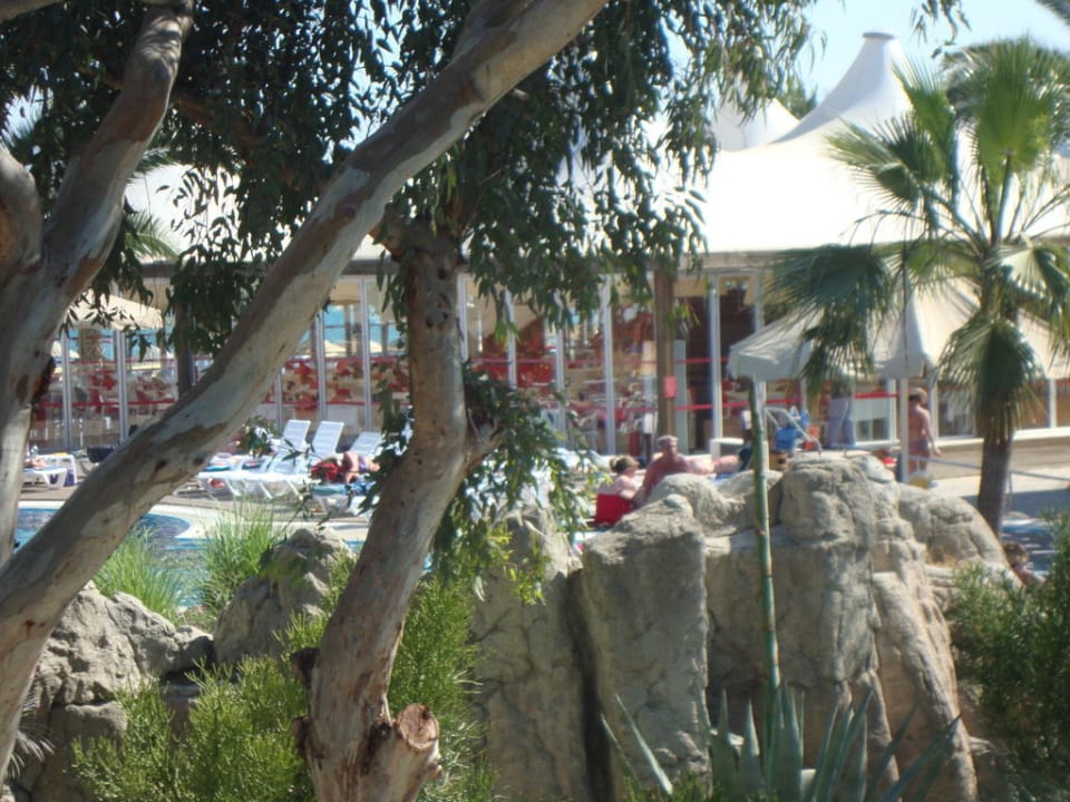 Gartenanlage mit Palmen Very Chic Bodrum Adult Only