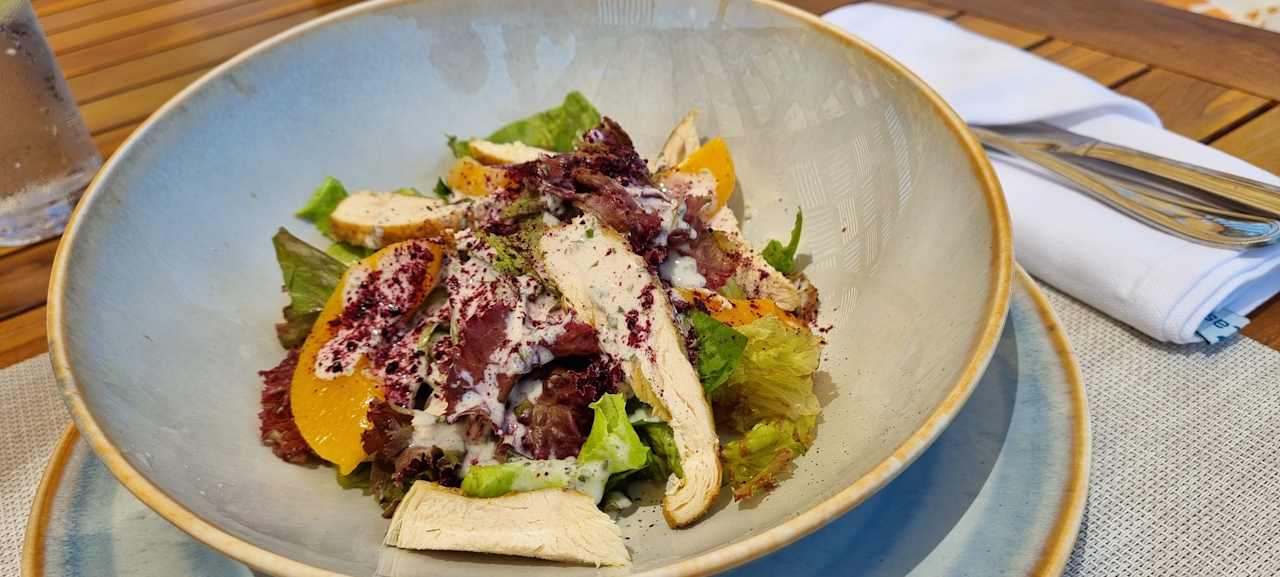 Gastro JAZ Elite Asteria