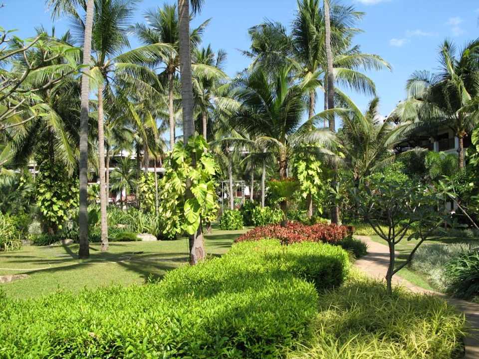 Gartenanlage JW Marriott Phuket Resort & Spa