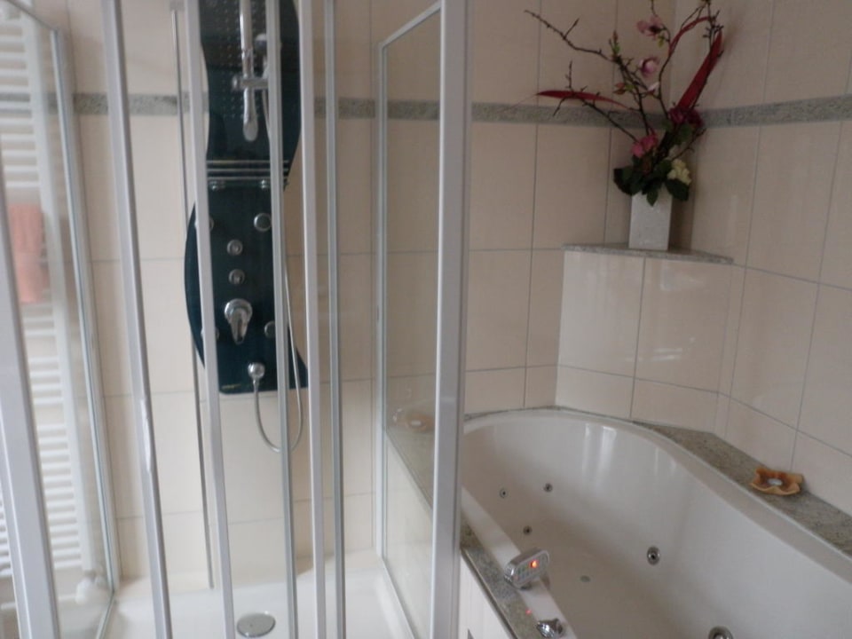 Whirlpool und Dusche Waldgasthof Steinerne Renne