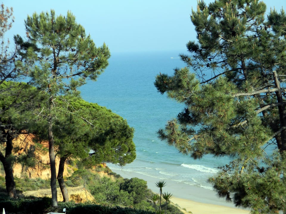 Zimmer 239 PortoBay Falésia