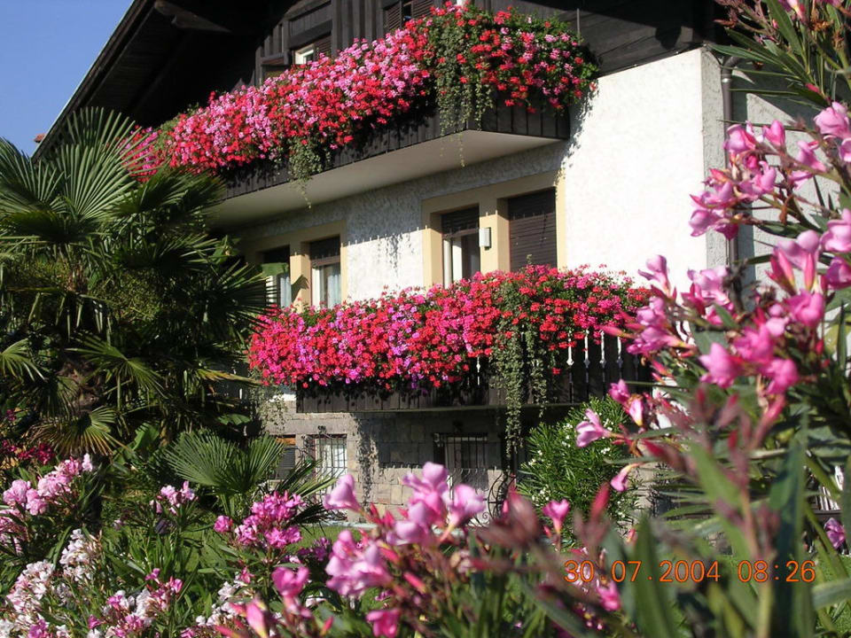 Blumenvielfalt am Haus Oberangerhof