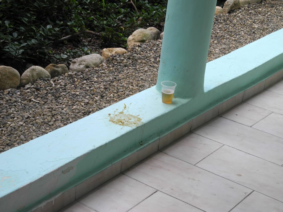 Spring Break Grand Paradise Playa Dorada