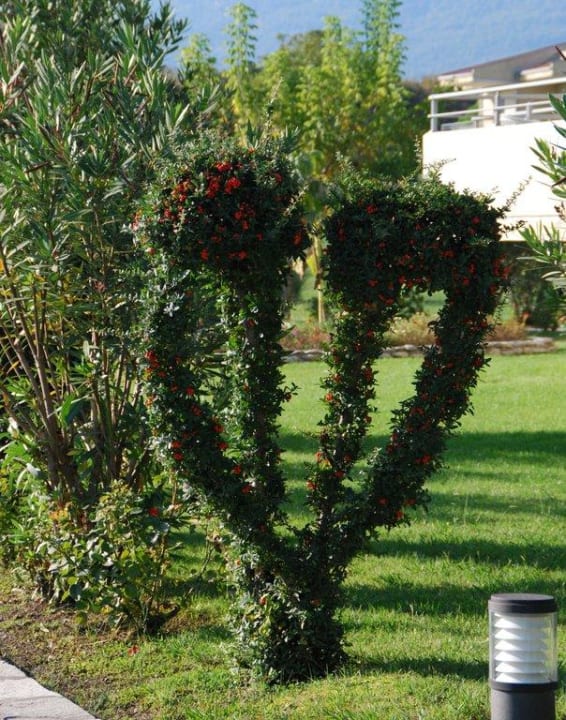 Pflanzen und Botanik alltoura Club Hotel Poseidon Palace