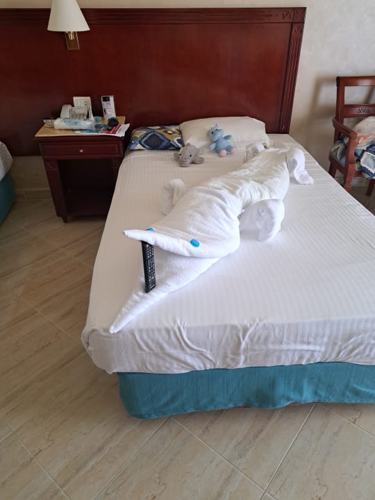 Zimmer Malikia Resort Abu Dabbab