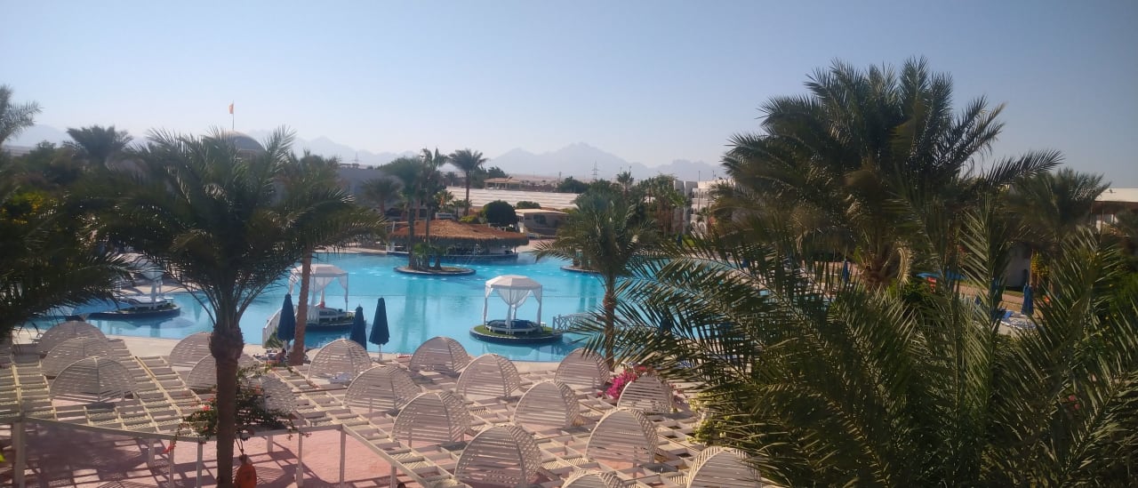 Ausblick Desert Rose