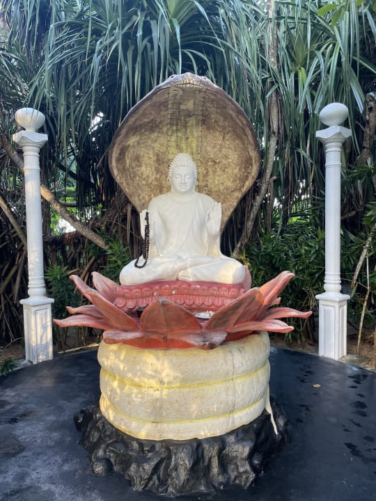 Gartenanlage Hiru Om Ayurveda Resort