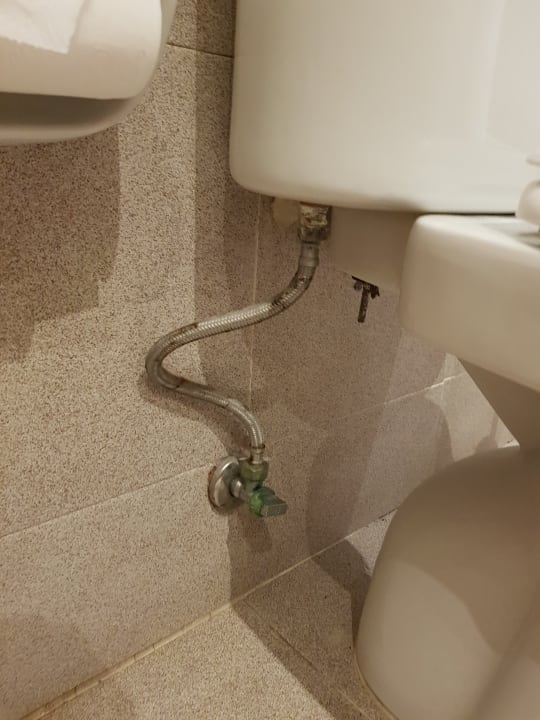 Zimmer Melia La Palma Hotel