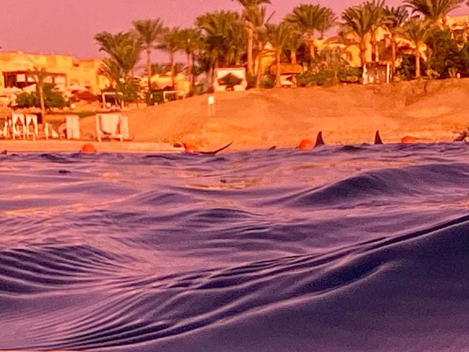 Strand Steigenberger Coraya Beach - Adults only