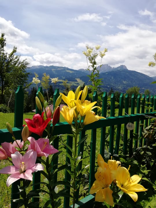 Ausblick Familienhotel Ramsi