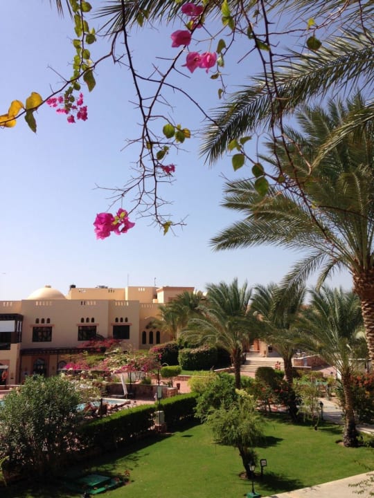 Blick in den Garten Steigenberger Coraya Beach - Adults only