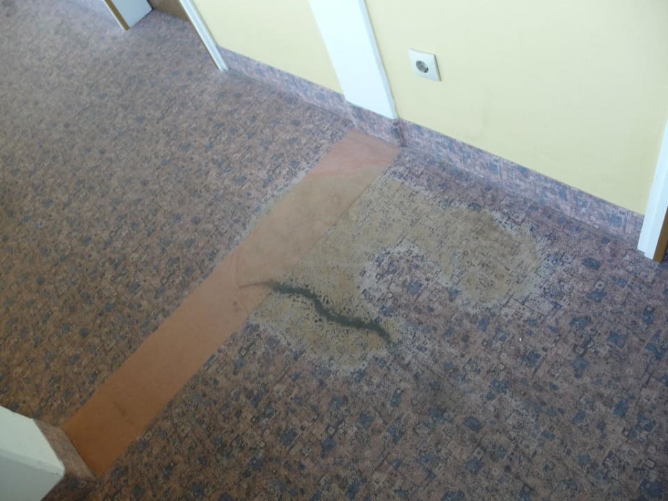 Teppich auf dem Weg ins Hotelzimmer Hotel Sonnenhügel