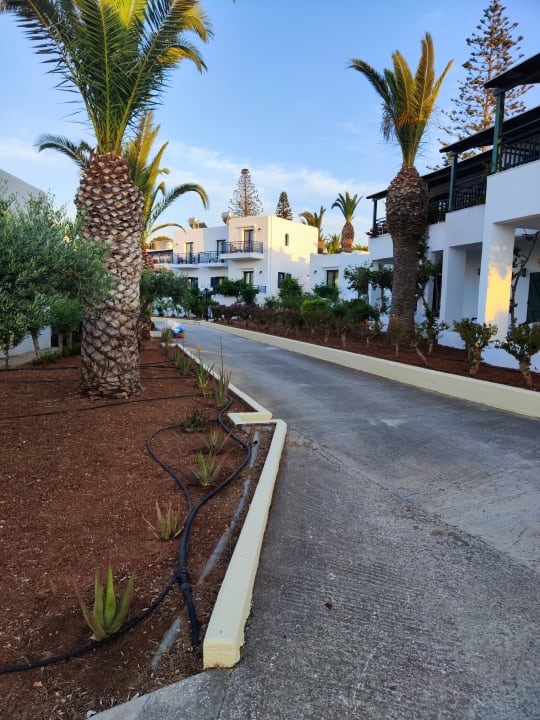 Außenansicht TUI SUNEO Chrissi Amoudia