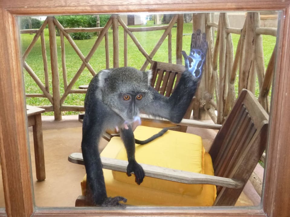 Besuch kommt vorbei Neptune Palm Beach Boutique Resort & Spa